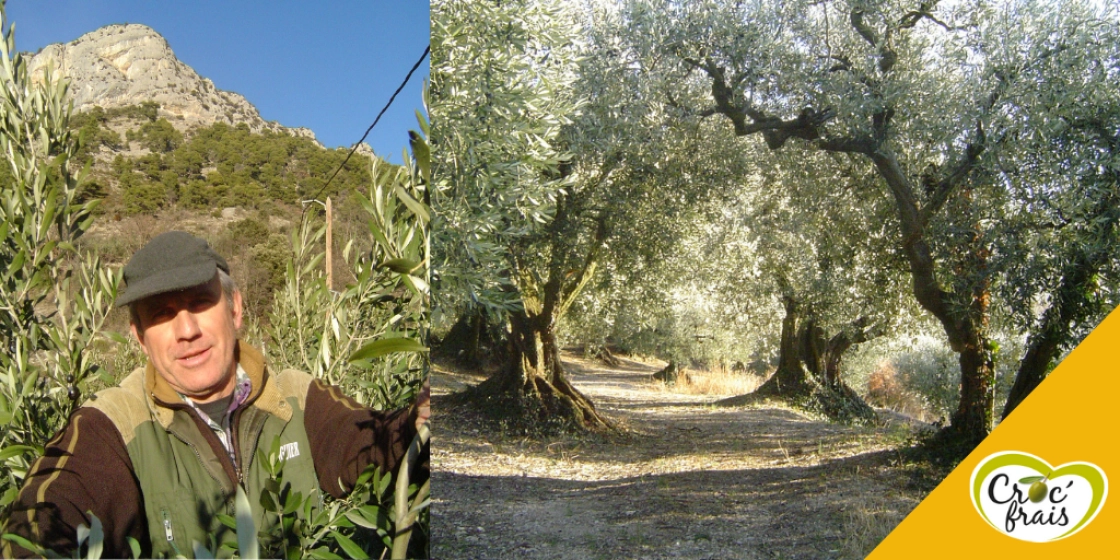 Croc'Frais : une confiance partagée avec la famille Corréard, producteurs d'olives depuis 2 générations