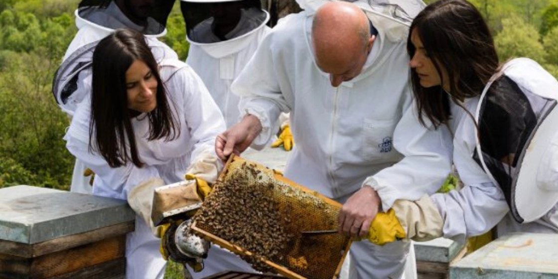 Famille Michaud Apiculteurs mise sur le local et la richesse des terroirs français