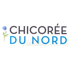 Chicorée du Nord