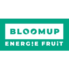 BLOOM UP