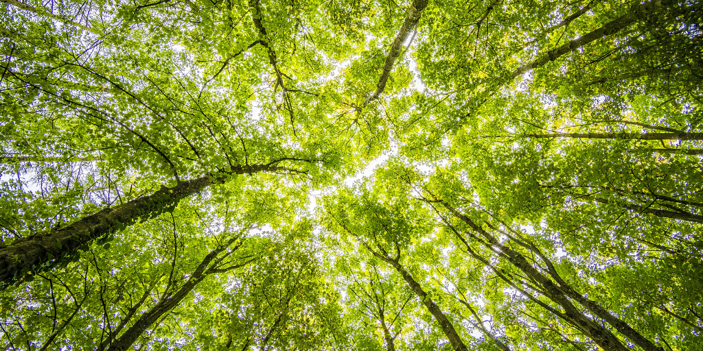 EXTRUPLAST ENGAGÉE DANS LA DÉCARBONATION DE SON ACTIVITÉ